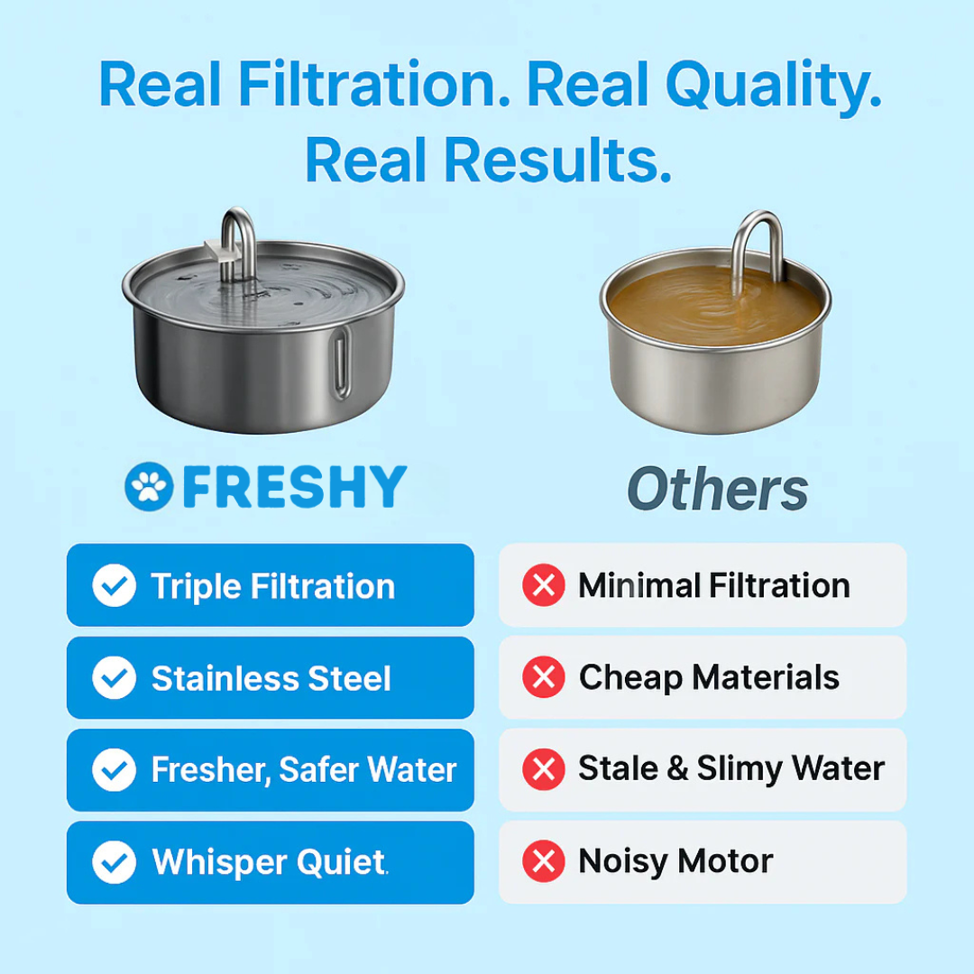 Freshy™ - Antibacterial Dog Fountain